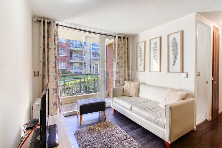 Beautiful apartment in Puerto Varas.