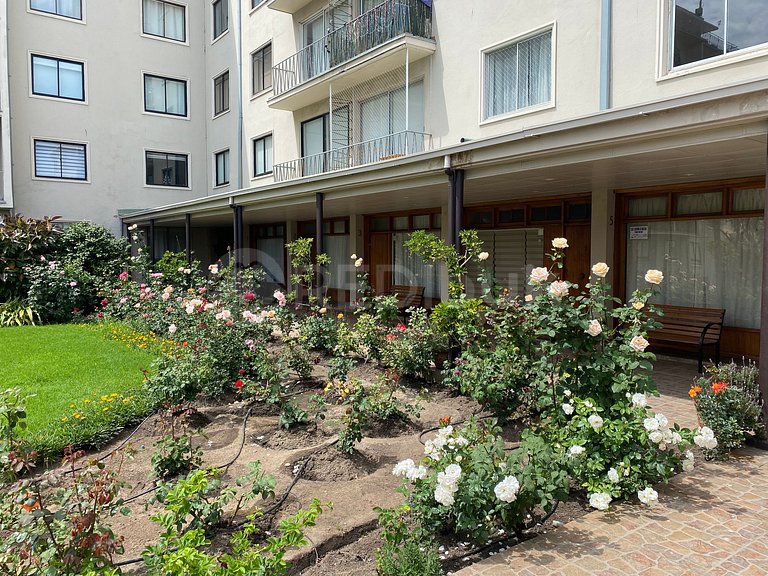 Studio with excellent location in Viña del Mar