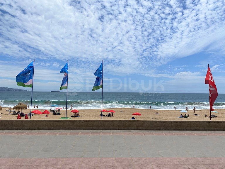 Incomparable apartment in front of the Reñaca beach.