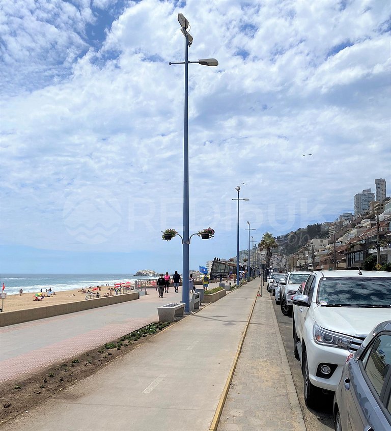 Incomparable apartment in front of the Reñaca beach.
