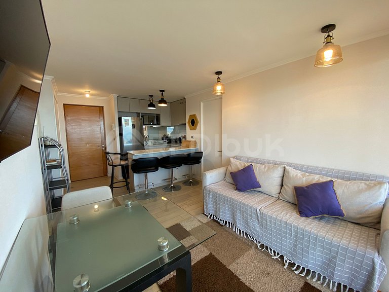 Family apartment with large terrace in Concón.