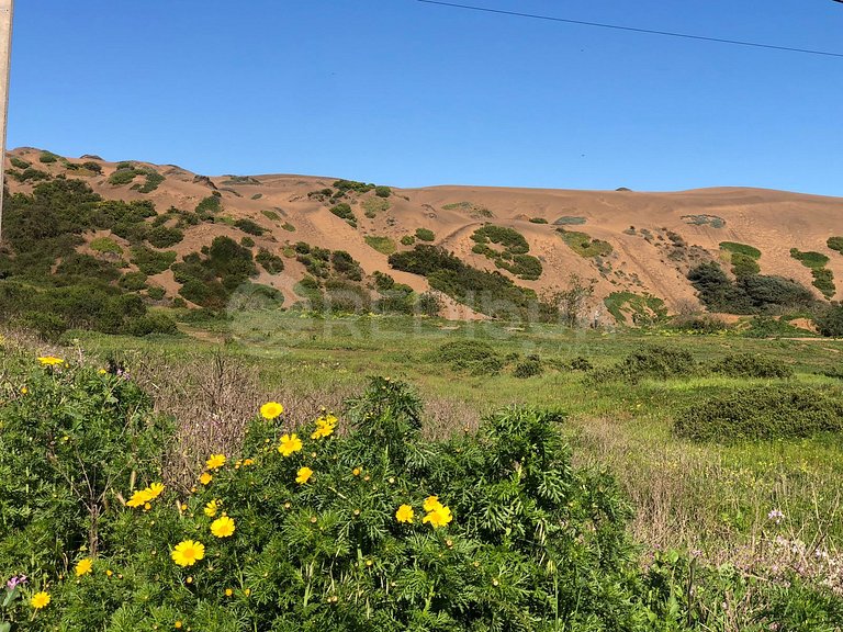 Amplio Depto Familiar con Vista al Mar.