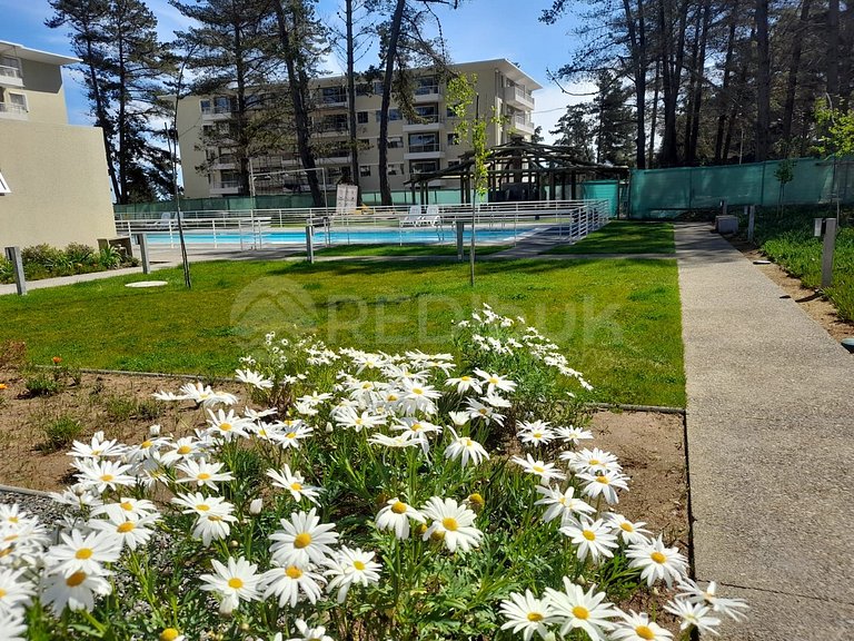 Spacious and New Apartment in El Tabo