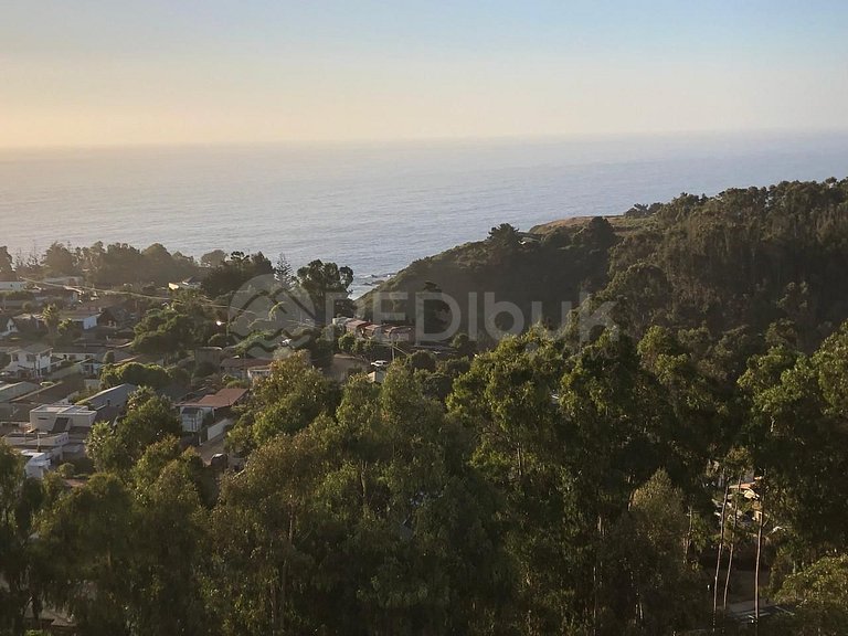 Bright and warm apartment in Mirasol