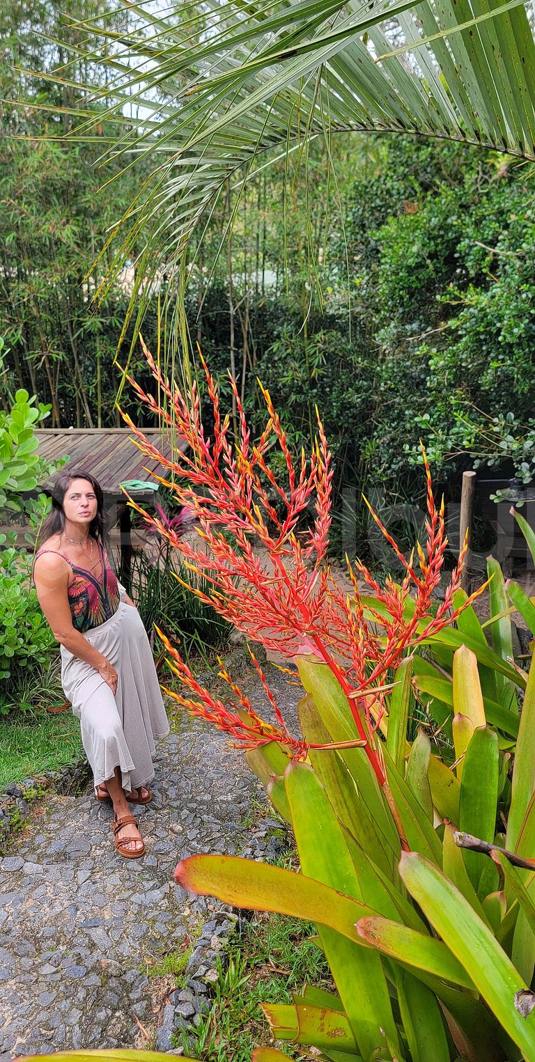 Posada en medio de la Selva xxxx habitaciones