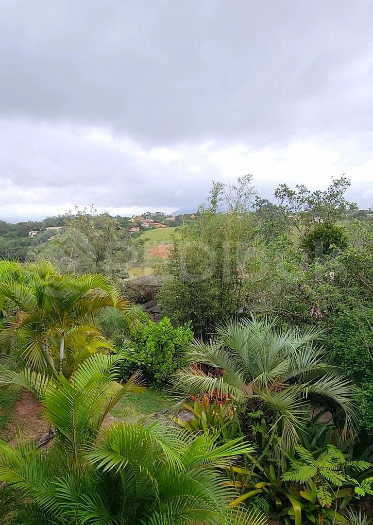 Posada en medio de la Selva xxxx habitaciones