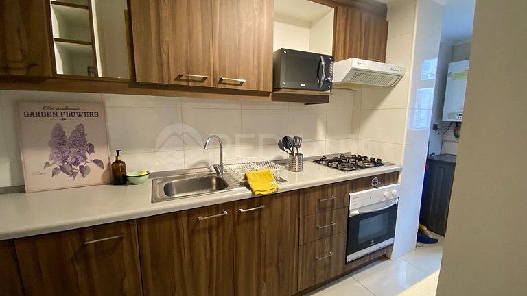 Beautiful apartment in Puerto Varas.