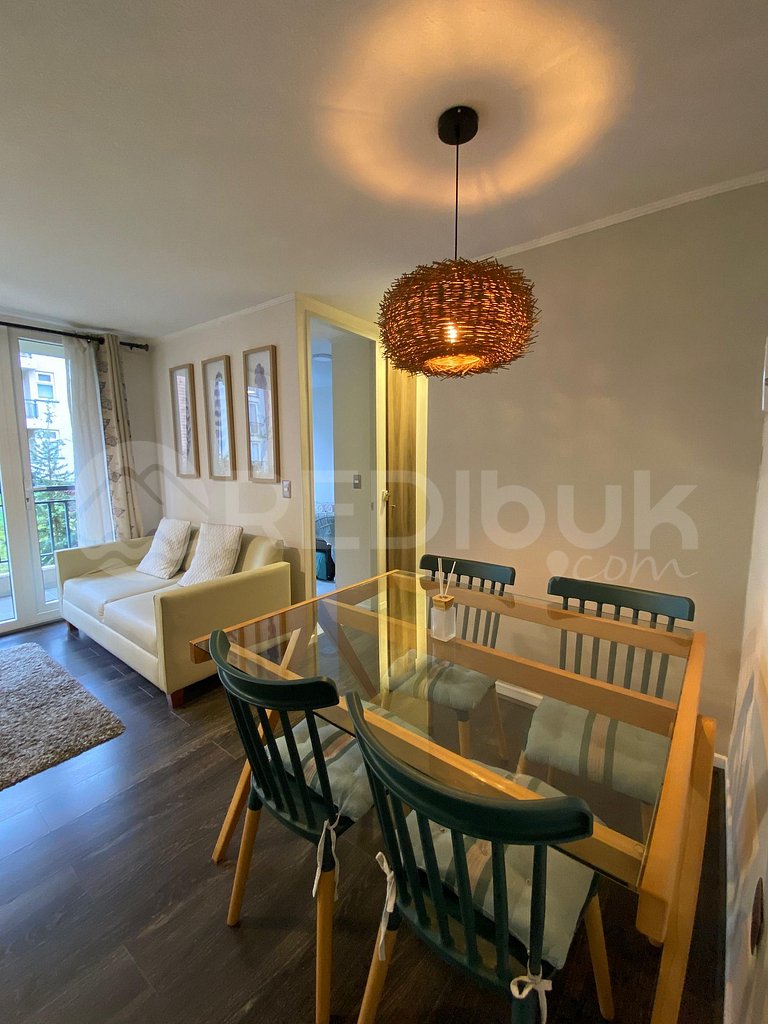 Beautiful apartment in Puerto Varas.
