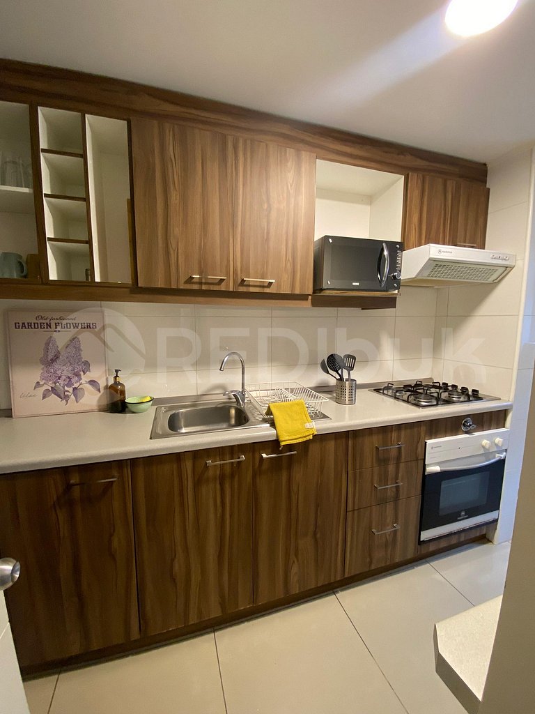Beautiful apartment in Puerto Varas.