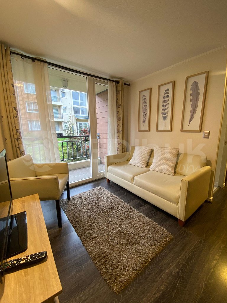 Beautiful apartment in Puerto Varas.