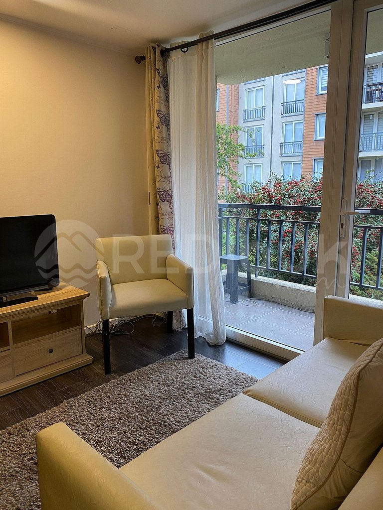 Beautiful apartment in Puerto Varas.