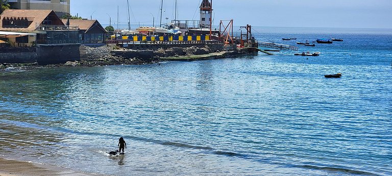 Rbk° Depto en Papudo, nuevo en gran condominio