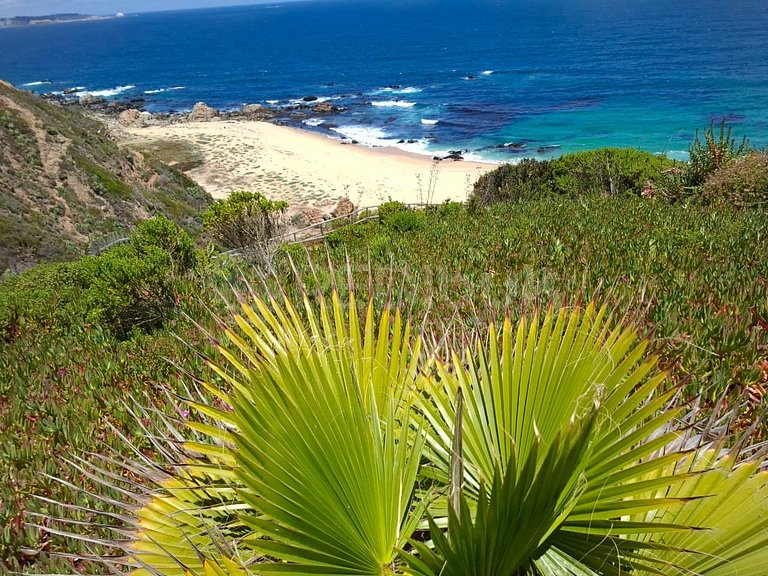 Nuevo departamento con 3 piscinas y acceso a playa