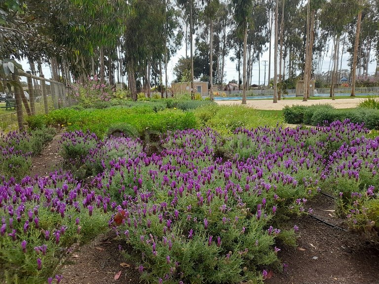 Rbk° Depto condomio con excelentes instalaciones