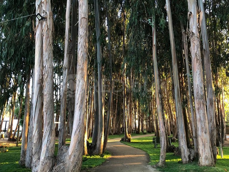 Rbk° Depto condomio con excelentes instalaciones