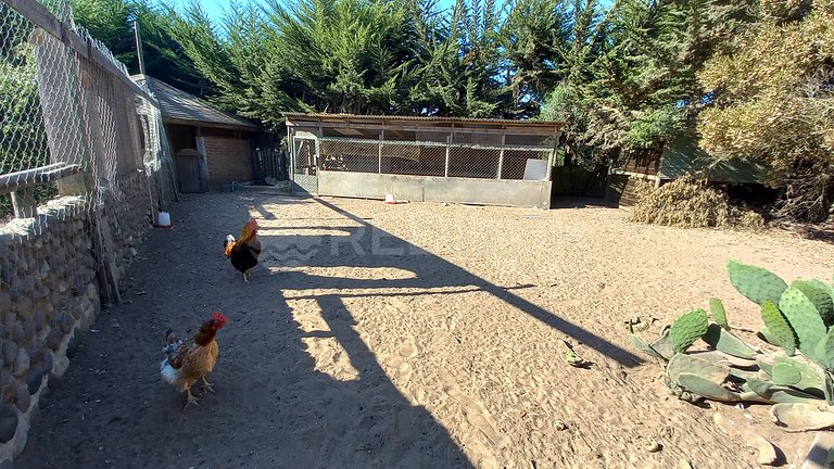 Rbk° Casa con Piscina y Gran Patio en Los Pinos