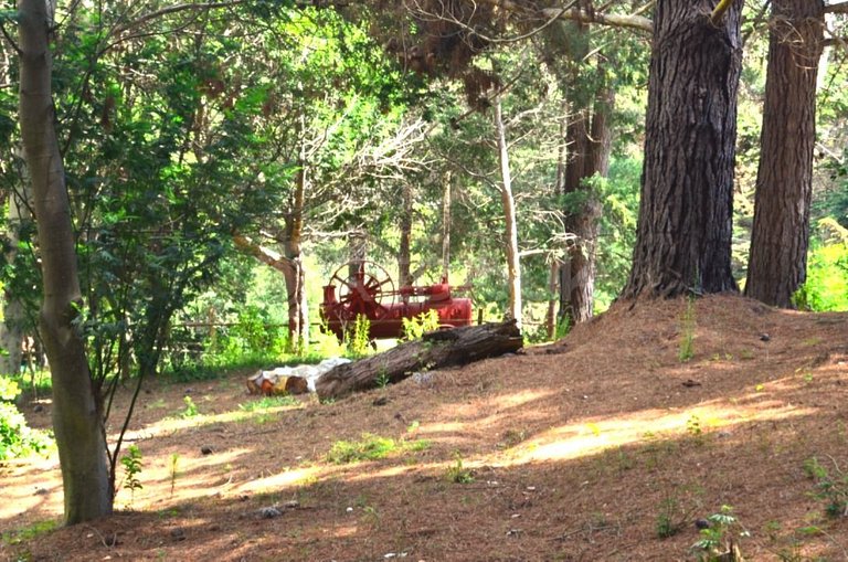 Rbk° Casa de campo a 20 minutos de Quintay