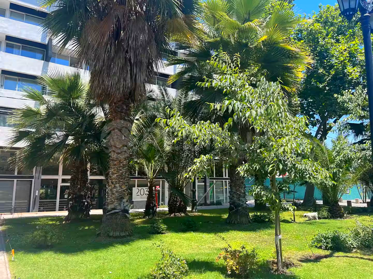 Rbk° Wifi Smart TV Cowork and Green Terrace